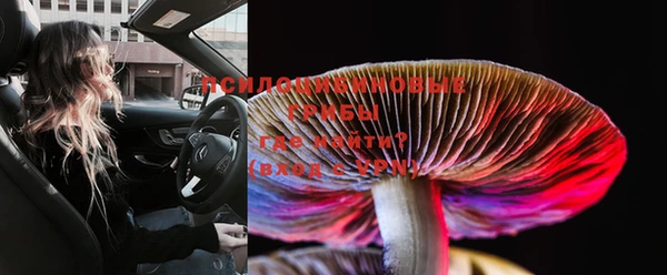 MESCALINE Покачи